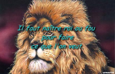 c'est sa le roi